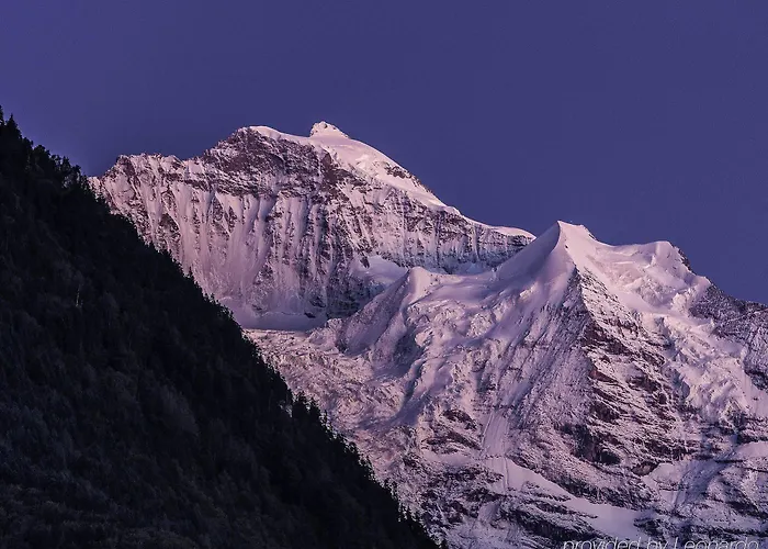 Royal St. Georges - Mgallery Collection 4*